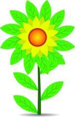 sunflower with leaves