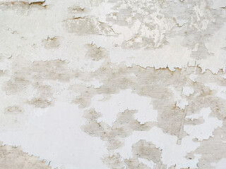 For background purpose. Paint coating pilling off from plywood door surface.