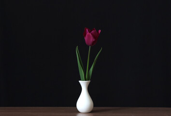 Lilac tulip flower in a vase.