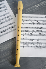 Music sheets and a recorder
