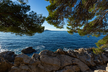 Rocky beach with crystalic clean sea water with pine tree on the coast of Adriatic Sea, Croatia.