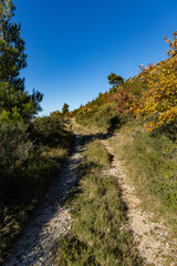 Fototapeta na wymiar Ecological stone trail along the rocky coast of Mediterranean sea. Croatia