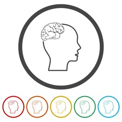 Head silhouette with brain icon isolated on white background, color set