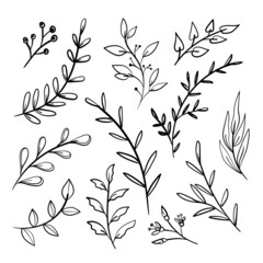 floral leaves clipart collection