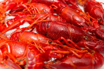 A pile of tasty boiled crawfish.Red freshly boiled crayfish.Selective focus.closeup,copy space.