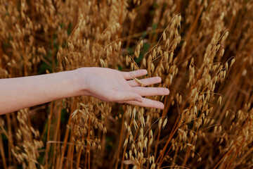 female hand outdoors countryside wheat crop Lifestyle