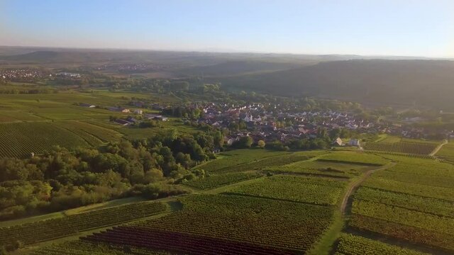 Luftbild mit Drohne von herbstlichen Weinbergen der Winzer Rheinhessens bei Gro&szlig;winternheim in der N&auml;he von Ingelheim und Bingen w&auml;hrend des Sonnenuntergangs im Herbst, Kaiserpfalz, Rheinland Pfalz