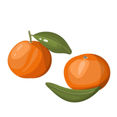 Group of fresh mandarin with leaves