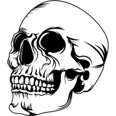 Isolated human skull SVG design element for logos, shirts, tattoo templates, prints, wall art, signs, emblem, cards, posters