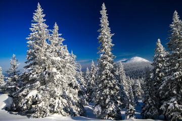 Winter landscape with a mountain peak in the background