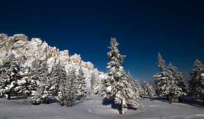 snow covered trees in the mountains