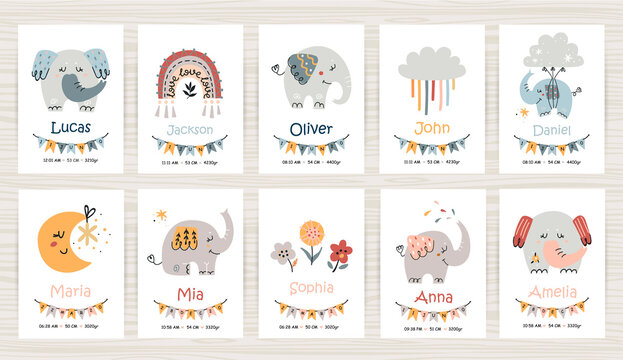 Big set of newborn metric with elephants. Height, weight, date of birth, name.