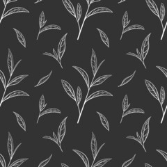 Leaf green tea pattern seamless, vector illustration. Leaves tea tree on black background. Hand drawn sketch in vintage style for print and design. Organic nature herb outline, eco healthy food