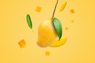 Mango fruit hanging on branch with green leaves, a piece of mangoes cube and cut on yellow...