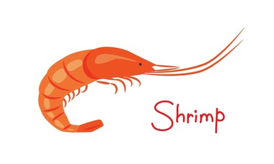 Fresh shrimp in flat style. Seafood. Vector illustration for the menu of fish restaurants, for packaging in markets and shops.