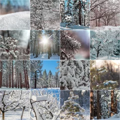 Foto op Canvas Winter collage © Galyna Andrushko