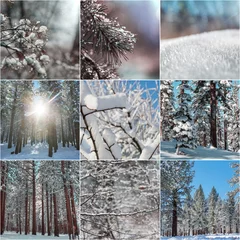 Foto auf Glas Winter collage © Galyna Andrushko