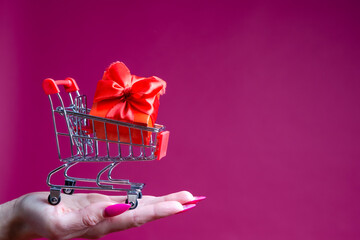 Buying And Market Shop Purchasing Concepts. Female Woman Hand Holding Mockup Small Tiny Shopping...