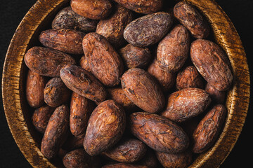 Dried cocoa beans. Cacao beans in bowl.