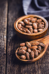 Dried cocoa beans. Cacao beans on wooden spoon.