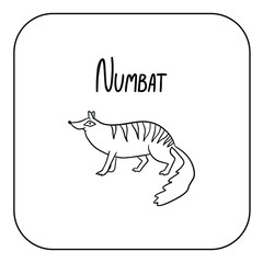 Animal English alphabet. Coloring page with animal. Letter N - Numbat.