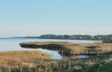 Coastal wetlands, Mikkelborg, Denmark