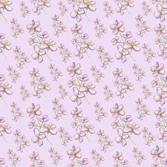 Watercolor seamless mattiola pattern isolated on light lilac background.Perfect for textile,fabrics,clothes.