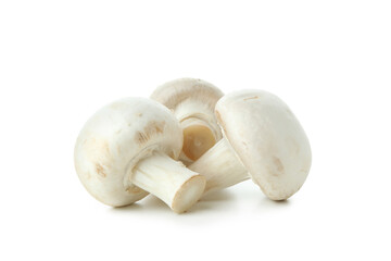 Tasty champignons mushrooms isolated on white background