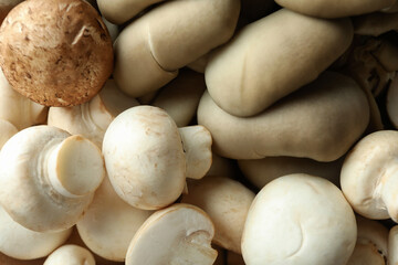 Concept of tasty food with mushrooms all over background
