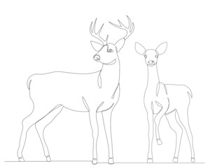 deer and fawn drawing by one continuous line, vector
