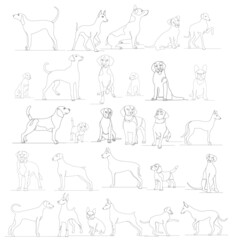 set of dog sketch drawing by one continuous line, vector