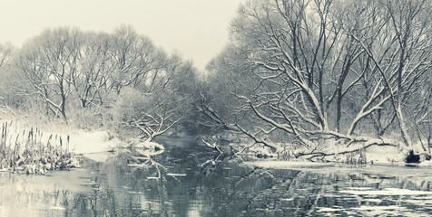 Tranquil winter landscape with beautiful reflection of snow covered trees on water surface of forest calm river.