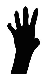 silhouette of a hand  isolated white background showing  gesture holds something or takes, gives.  hands showing different gestures