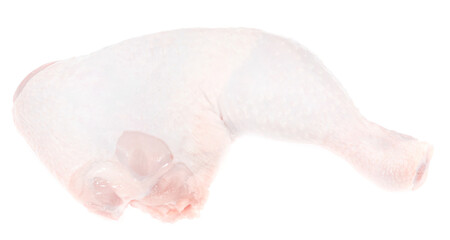 Raw fresh chicken leg isolated on white background