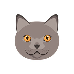 The head of a British cat on a white background. Cartoon design.
