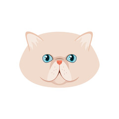 The head of a Persian cat on a white background. Cartoon design.
