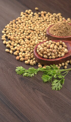 Dry coriander seeds with small bamboo spoon and green fresh bunch coriander leaves,famous spices ingredients in asia's kitchen.