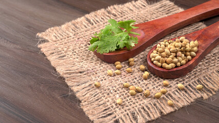 Dry coriander seeds with small bamboo spoon and green fresh bunch coriander leaves,famous spices ingredients in asia's kitchen.