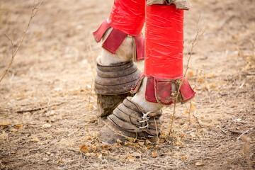 Horses are large. Harnessed and saddled, the horses are tied to a stall in a green meadow....