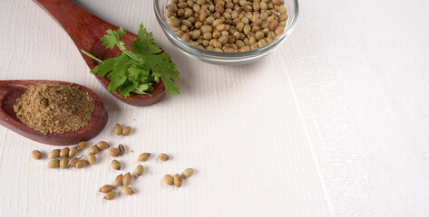 Dry coriander seeds with small bamboo spoon and green fresh bunch coriander leaves,famous spices ingredients in asia's kitchen.