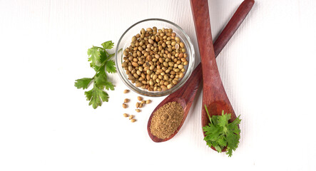 Dry coriander seeds with small bamboo spoon and green fresh bunch coriander leaves,famous spices ingredients in asia's kitchen.