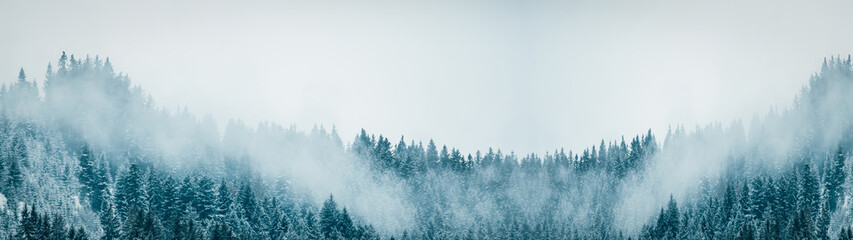 Amazing mystical rising fog sky forest snow snowy trees landscape snowscape in black forest (...