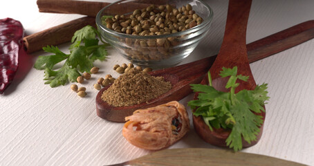 Dry coriander seeds with small bamboo spoon and green fresh bunch coriander leaves,famous spices ingredients in asia's kitchen.