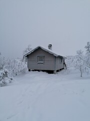 A cozy small log cabin covered in snow in winter landscapes in Northern Sweden, Nordic