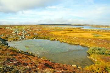 Fulufjället Nationalpark in Schweden im Herbst