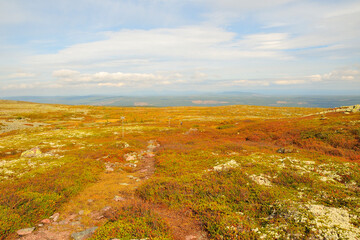 Fulufjället Nationalpark in Schweden im Herbst