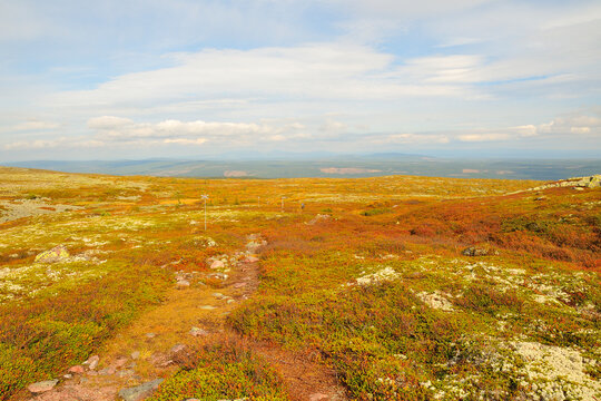 Fulufj&auml;llet Nationalpark in Schweden im Herbst
