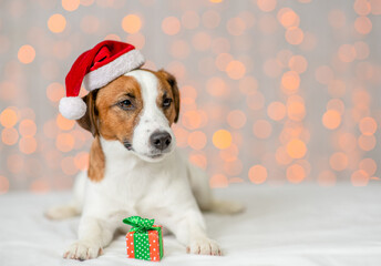 Happy Jack russell terrier puppy wearing santa hat lies on festive background. Empty space for text
