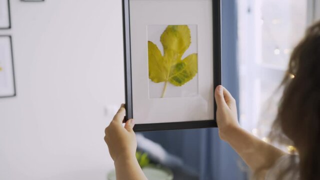 Following woman holding self-made collage from tree leaf approaching to wall and hanging wooden frame among different pictures of various size during decoration new flat, close-up