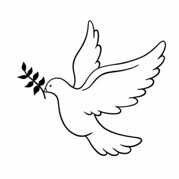 Dove of peace with olive brunch linear icon. Outline vector illustration isolated on white background. Peace Day contour symbol drawing